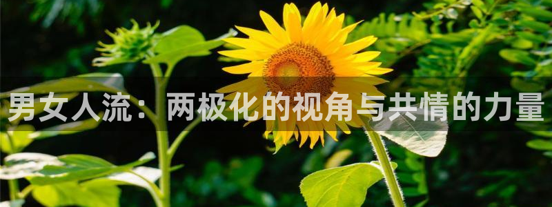 51漫画app安装：男女人流：两极化的视角与共情的力量